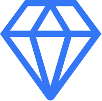 专业的开发团队